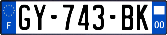 GY-743-BK