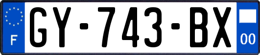GY-743-BX