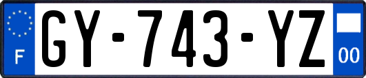 GY-743-YZ