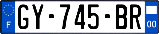 GY-745-BR