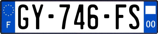 GY-746-FS