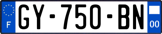 GY-750-BN