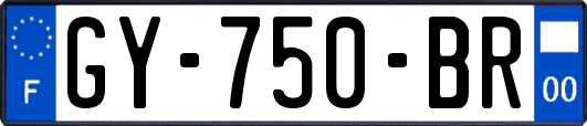 GY-750-BR