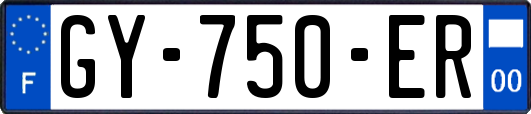 GY-750-ER