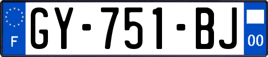 GY-751-BJ
