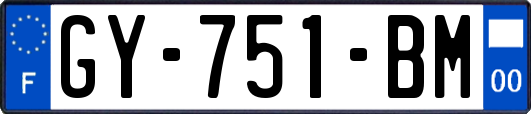 GY-751-BM