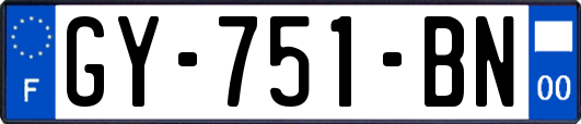 GY-751-BN