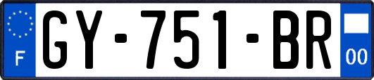 GY-751-BR