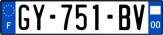 GY-751-BV