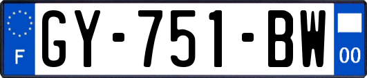 GY-751-BW
