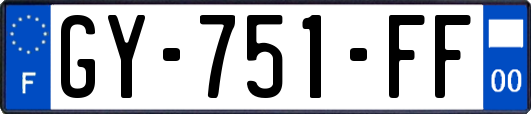 GY-751-FF