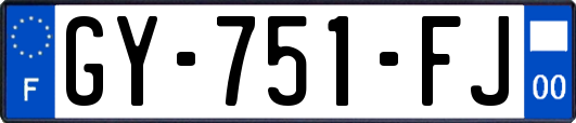 GY-751-FJ