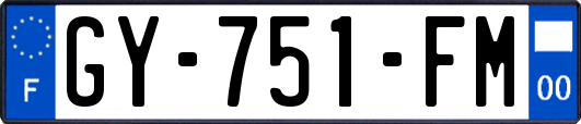 GY-751-FM