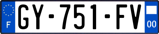GY-751-FV