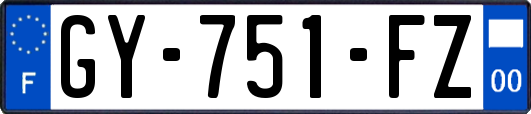 GY-751-FZ