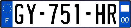 GY-751-HR