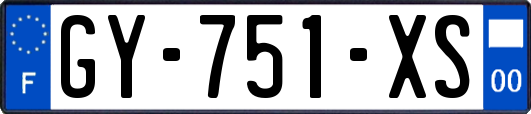 GY-751-XS