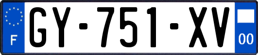 GY-751-XV