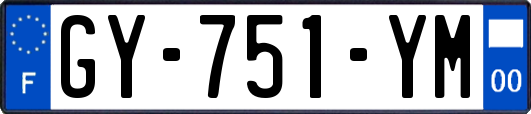 GY-751-YM