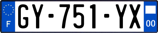 GY-751-YX