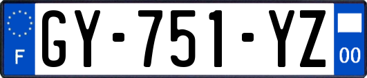 GY-751-YZ