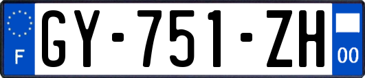GY-751-ZH