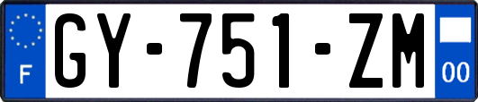 GY-751-ZM