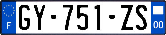 GY-751-ZS