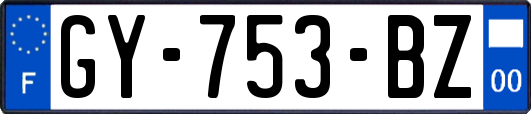 GY-753-BZ