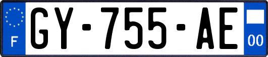 GY-755-AE