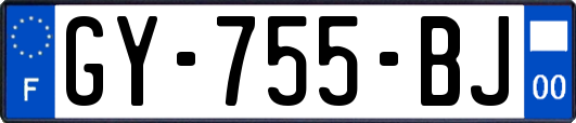 GY-755-BJ