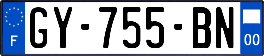 GY-755-BN