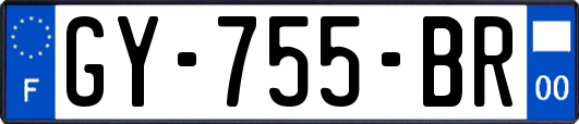 GY-755-BR
