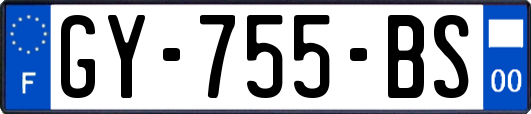 GY-755-BS