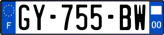 GY-755-BW