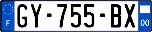 GY-755-BX
