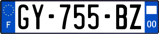 GY-755-BZ