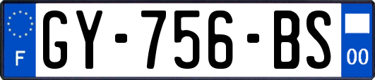 GY-756-BS