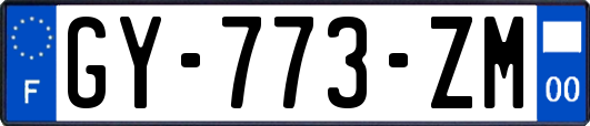 GY-773-ZM