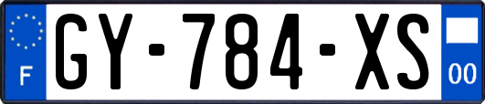GY-784-XS
