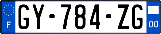 GY-784-ZG