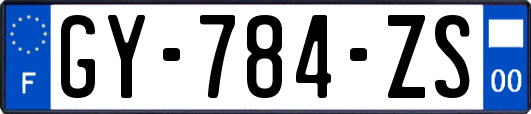 GY-784-ZS