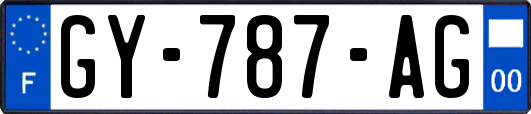 GY-787-AG