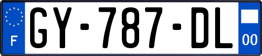 GY-787-DL