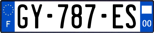 GY-787-ES