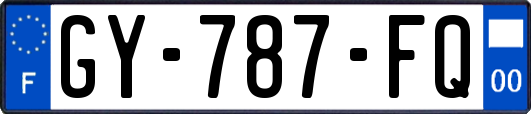 GY-787-FQ