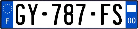 GY-787-FS