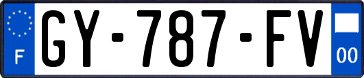GY-787-FV