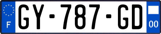 GY-787-GD