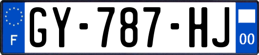 GY-787-HJ